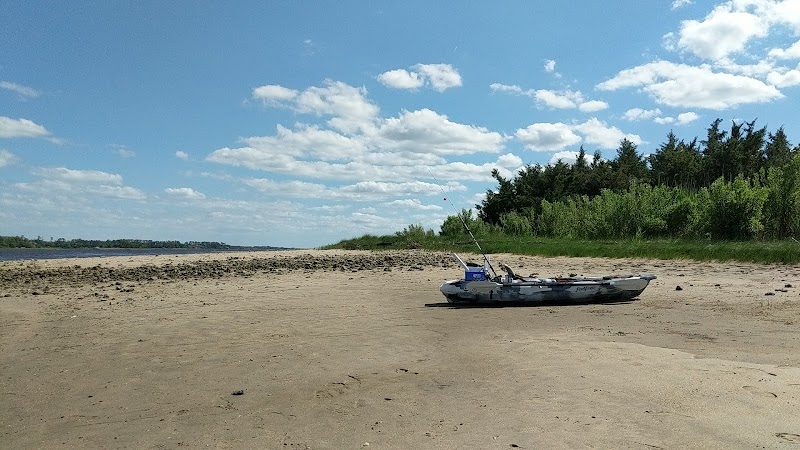 Fossil Hunting & Kayaking at Shark Tooth Island, Wilmington, NC - Shark Tooth Island