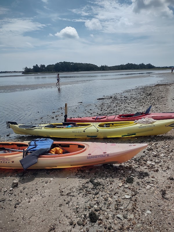 Fossil Hunting & Kayaking at Shark Tooth Island, Wilmington, NC surrounding landscape