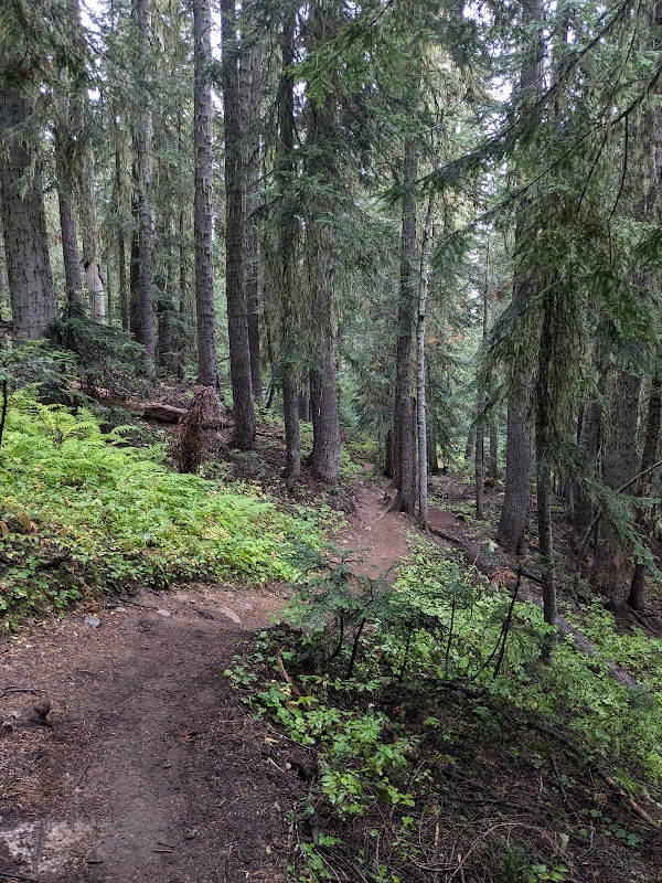 Hiking Adventure at Maple Pass Loop in Washington outdoor detail
