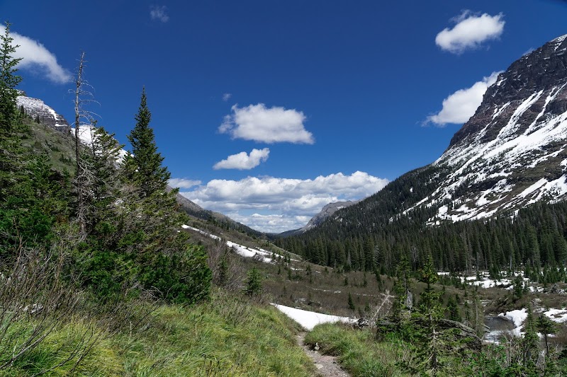 Scenic Serenity at Two Medicine Lake, Montana outdoor detail