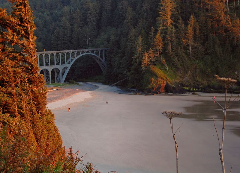 Scenic Coastal Charm at Devils Elbow, Oregon - Devils Elbow