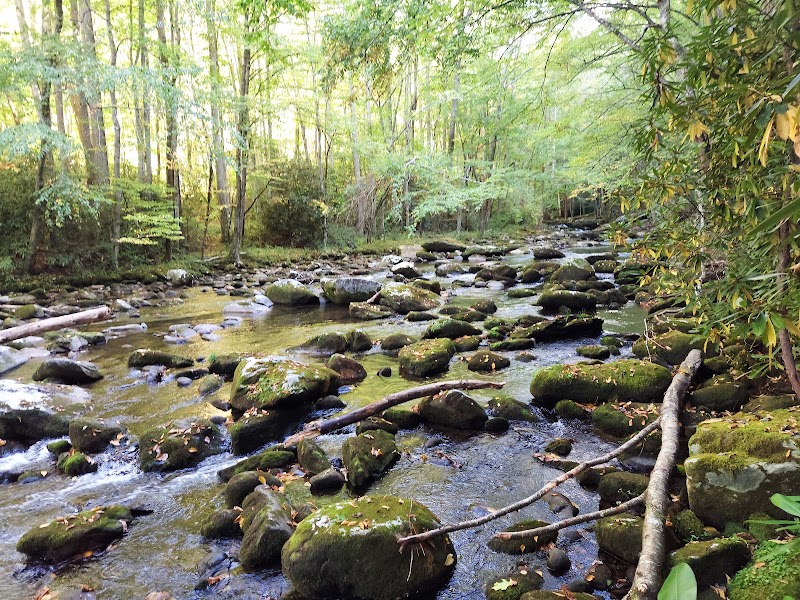 Waterfall Adventure at Huskey Branch Falls, Gatlinburg - Huskey Branch Falls