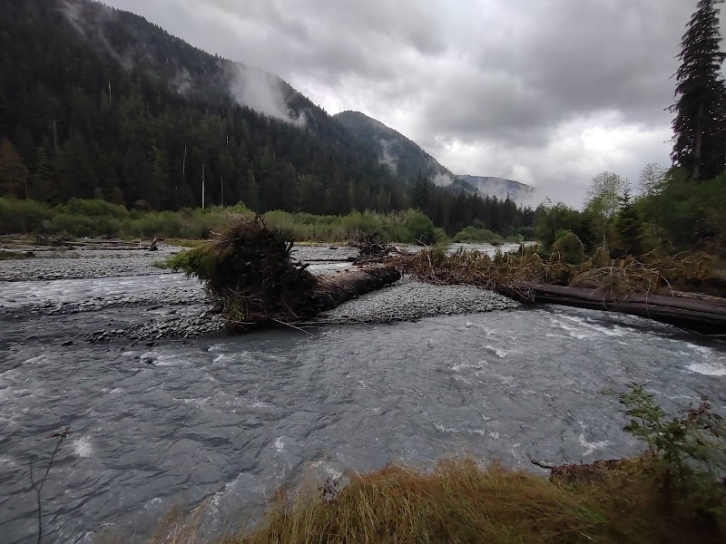 Temperate Rainforest Adventure: Hoh River Trail in Washington - Hoh River Trail
