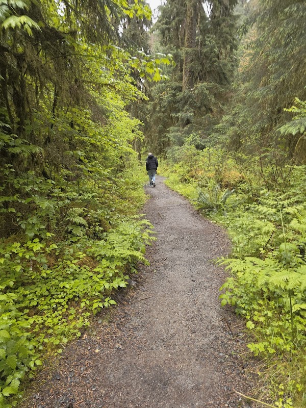 Temperate Rainforest Adventure: Hoh River Trail in Washington - Hoh River Trail