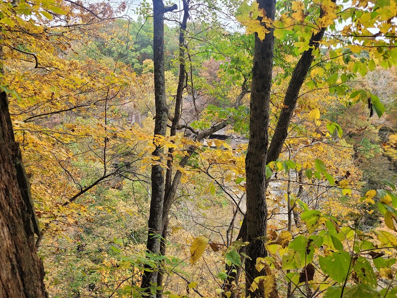 Waterfall Wonders at Clifty Falls State Park North Gate, Madison, Indiana surrounding landscape