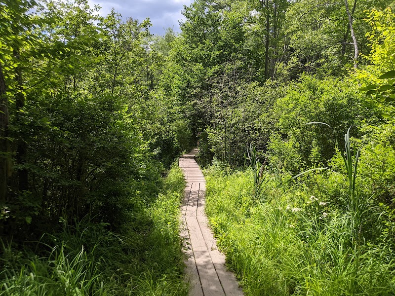 Nature Walks at Winnick Woods, Greenbelt Trail in Cape Elizabeth - Winnick Woods, Greenbelt Trail