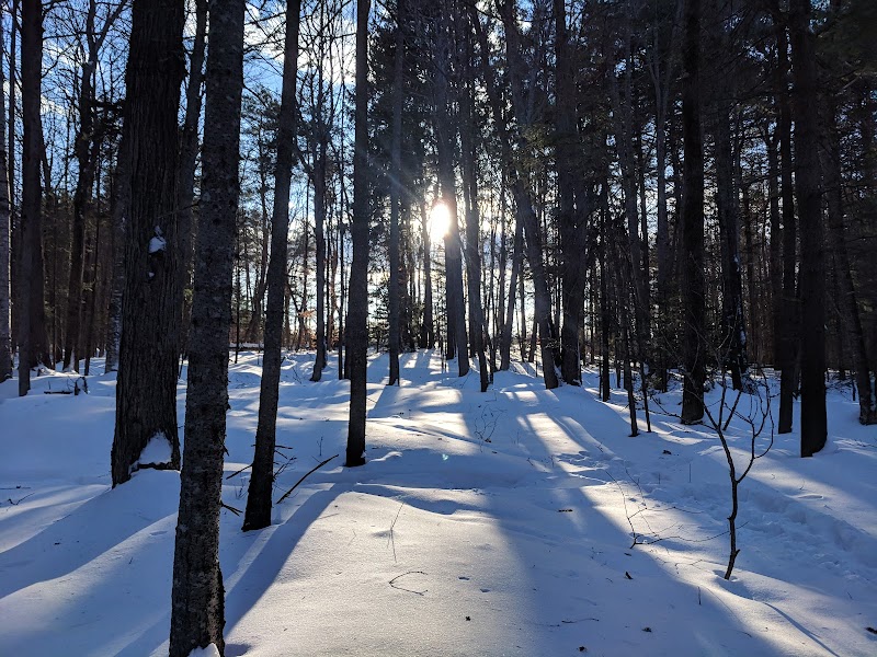 Nature Walks at Winnick Woods, Greenbelt Trail in Cape Elizabeth - Winnick Woods, Greenbelt Trail