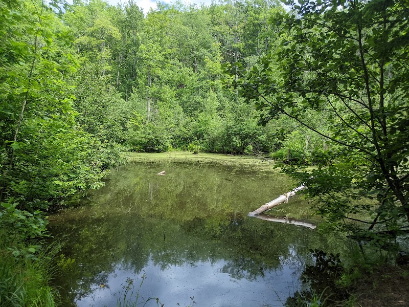 Nature Walks at Winnick Woods, Greenbelt Trail in Cape Elizabeth - Winnick Woods, Greenbelt Trail