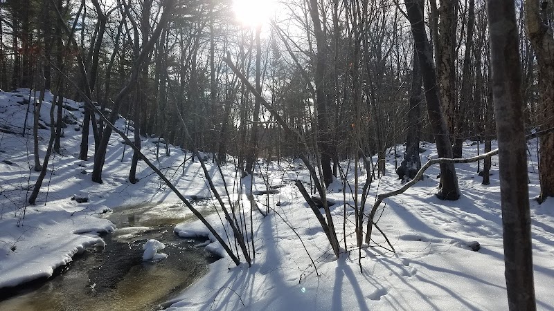 Woodland Tranquility at Robinson Woods Preserve, Cape Elizabeth, Maine - Robinson Woods Preserve