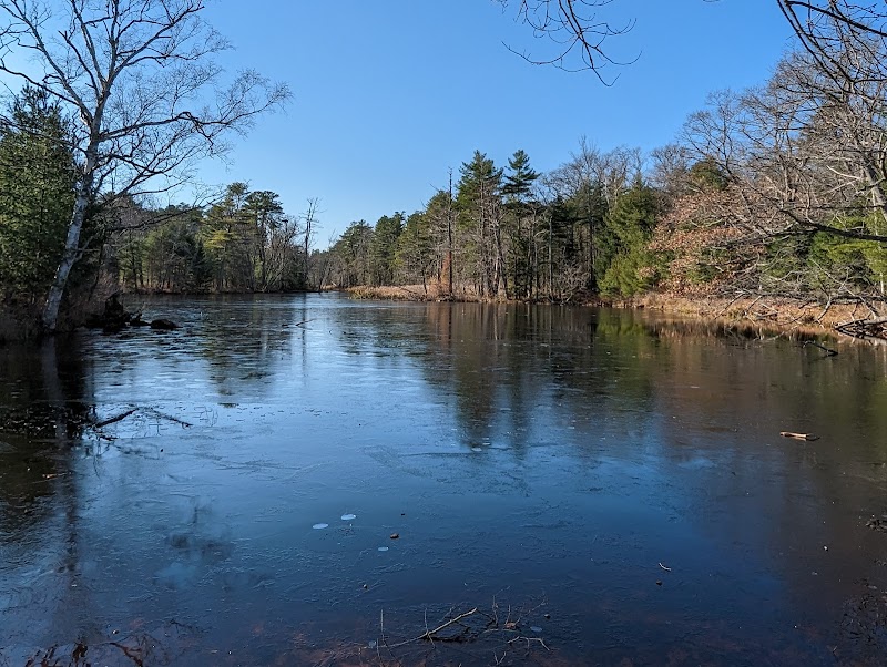 Woodland Tranquility at Robinson Woods Preserve, Cape Elizabeth, Maine surrounding landscape