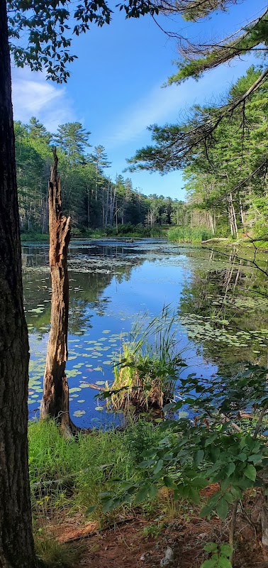 Robinson Woods Preserve adventures