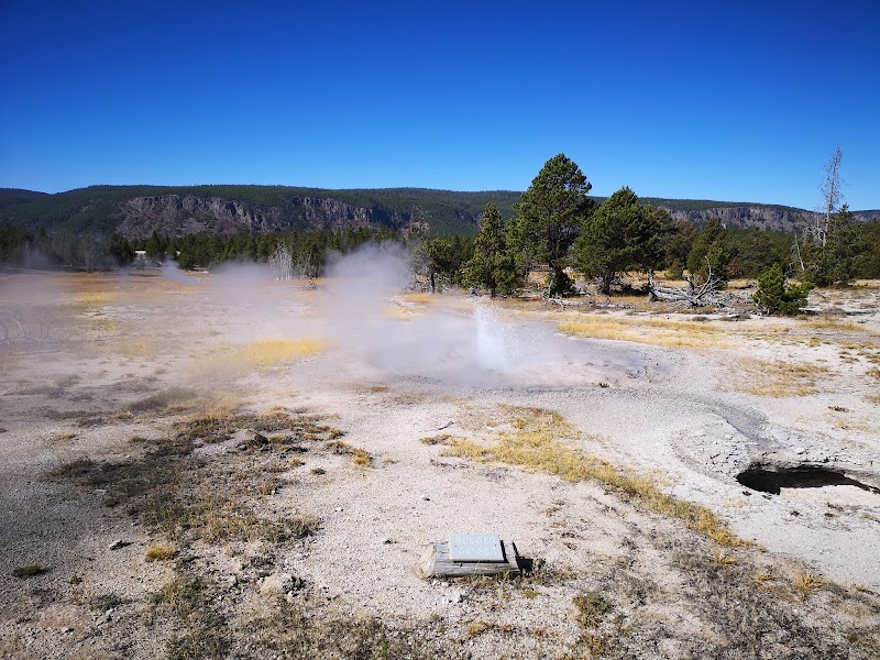 Geothermal Wonder: Bulger Geyser in Yellowstone - Bulger Geyser