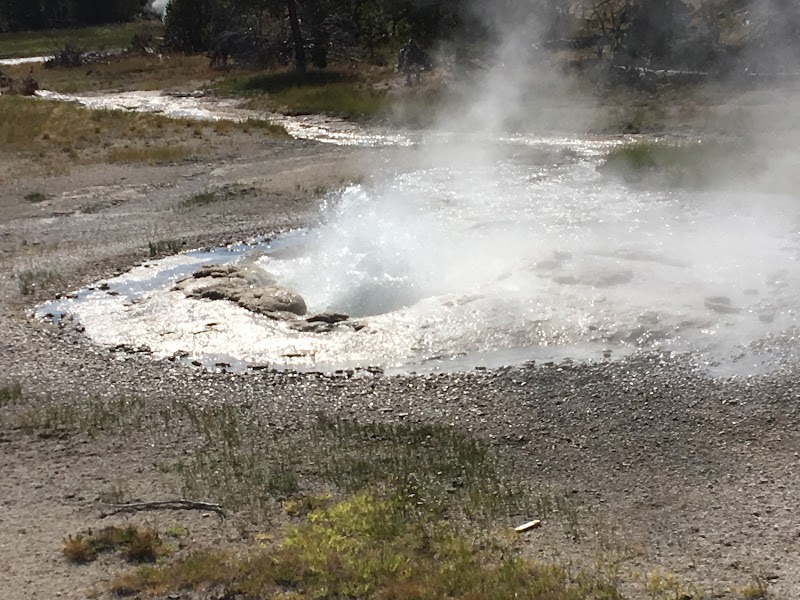 Geothermal Wonder: Bulger Geyser in Yellowstone - Bulger Geyser