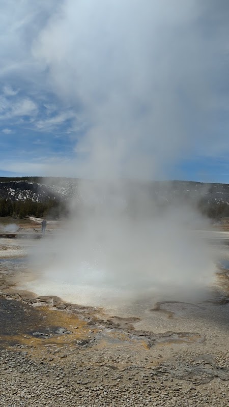 Geothermal Wonder: Bulger Geyser in Yellowstone - Bulger Geyser