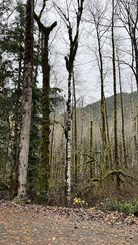 Natural Splendor at North Cascades National Park West Entrance - North Cascades National Park West Entrance