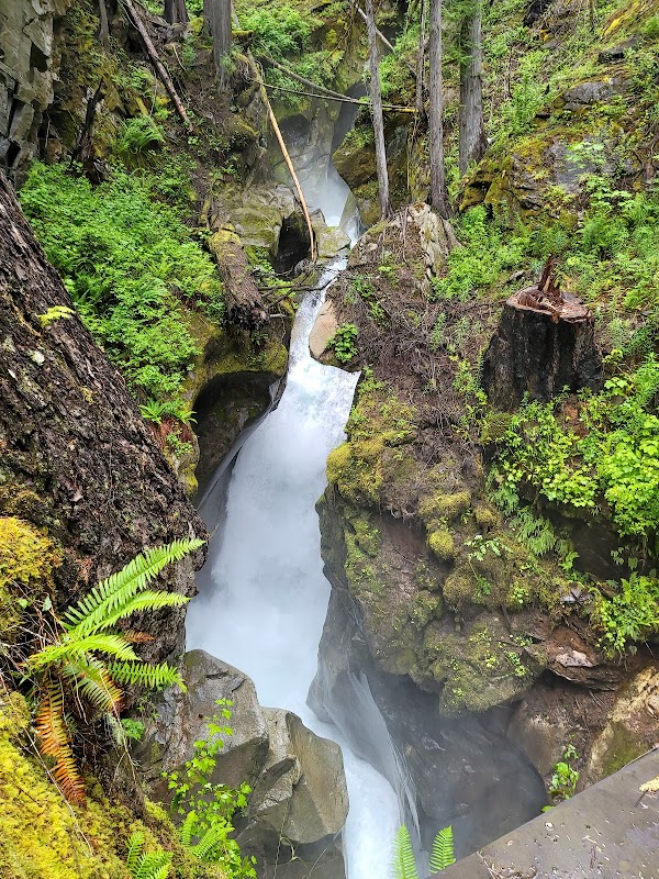 Waterfall Wonder & Garden Walk at Ladder Creek Falls, Rockport WA - Ladder Creek Falls