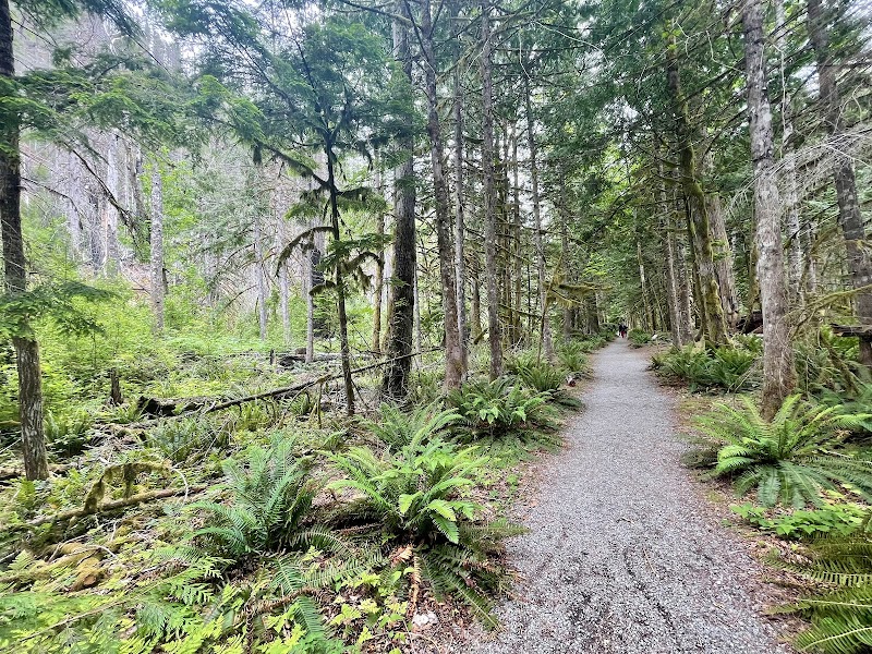 Forest Walk & Nature Trail at Trail of the Cedars - Trail of the Cedars