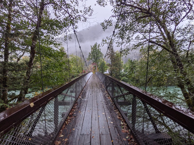 Forest Walk & Nature Trail at Trail of the Cedars - Trail of the Cedars