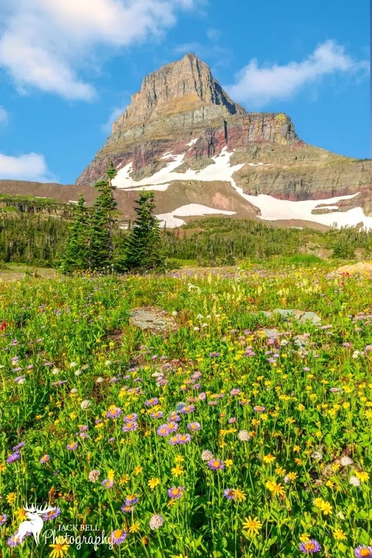 Majestic Peaks & Wildlife at Clements Mountain, Montana - Clements Mountain