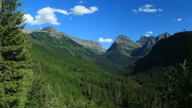 Majestic Peaks & Wildlife at Clements Mountain, Montana outdoor detail