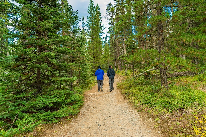 Mistaya Canyon Trail Head - Banff: A Captivating Canyon Experience - Mistaya Canyon Trail Head - Banff