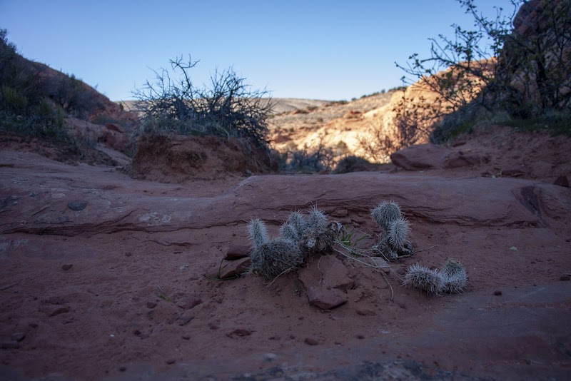 Slot Canyon Wonders at Wire Pass, Utah - Wire Pass