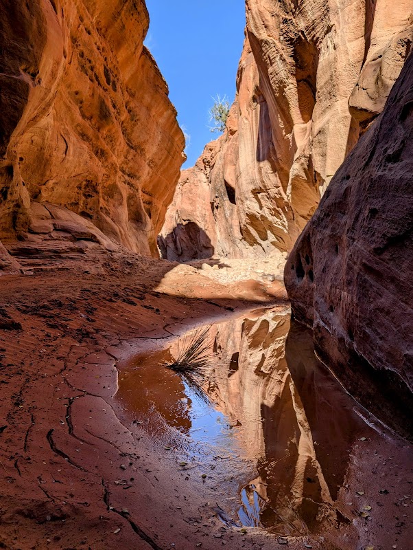 Slot Canyon Wonders at Wire Pass, Utah - Wire Pass