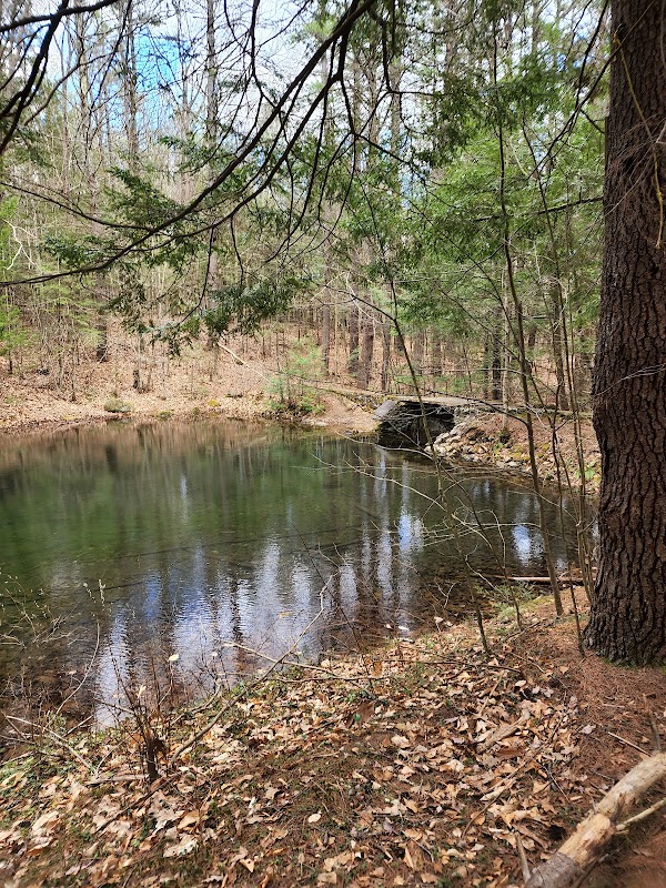 Nature Trails & Scenic Views at Drummer Hill Conservation Area, Keene, NH - Drummer Hill Conservation Area