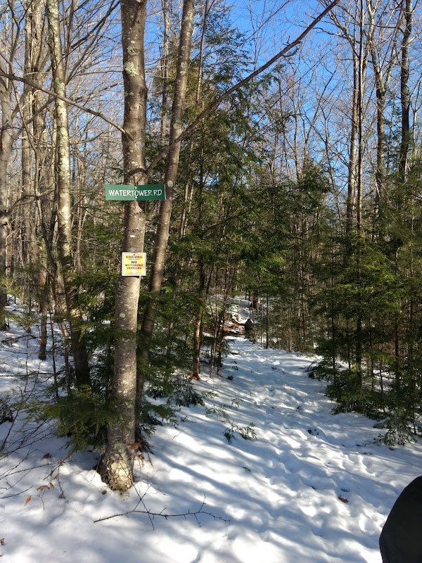 Nature Trails & Scenic Views at Drummer Hill Conservation Area, Keene, NH outdoor detail
