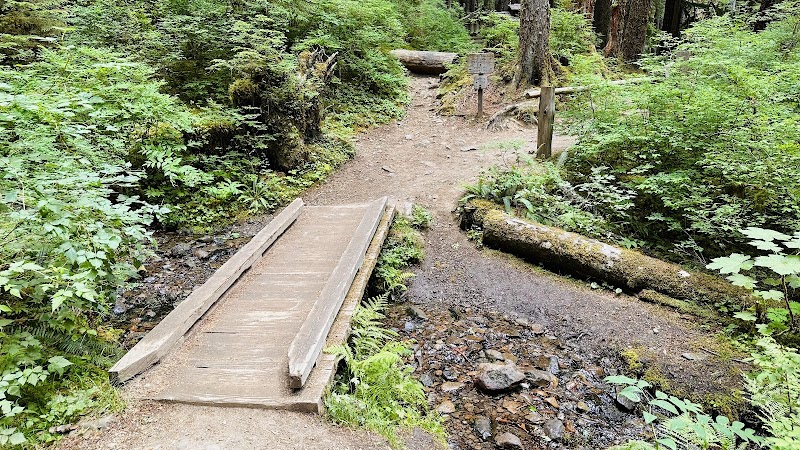 Waterfall Wonder: Sol Duc Falls in Washington surrounding landscape