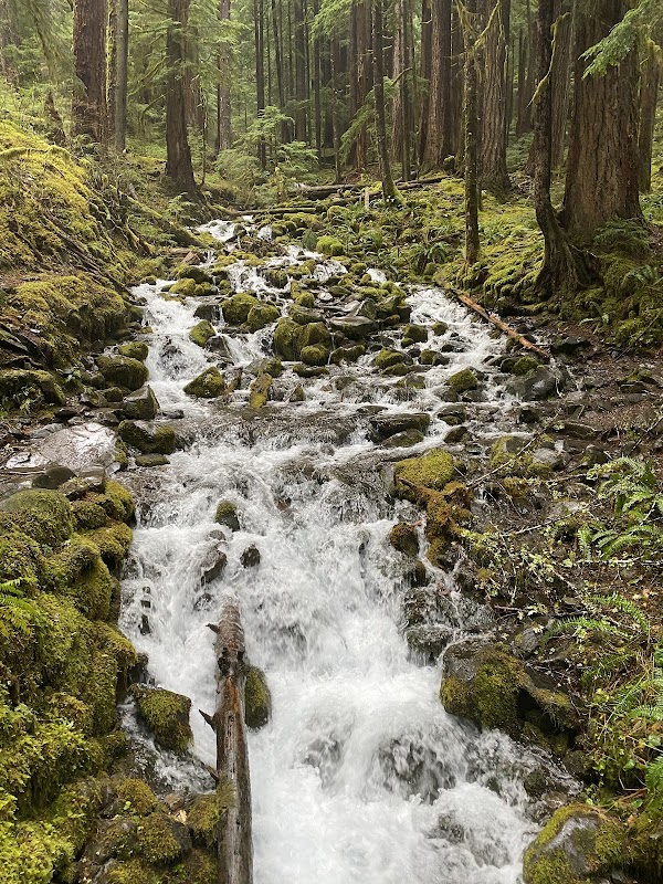 Waterfall Wonder: Sol Duc Falls in Washington - Sol Duc Falls