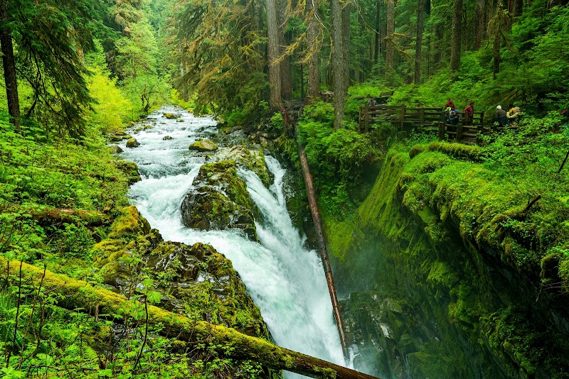 Waterfall Wonder: Sol Duc Falls in Washington - Sol Duc Falls