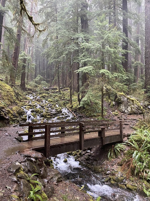 Waterfall Wonder: Sol Duc Falls in Washington outdoor detail