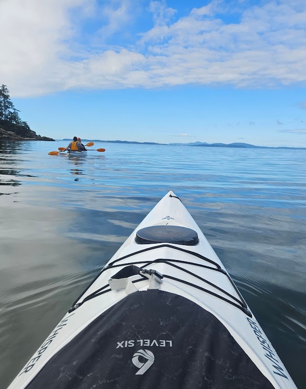 Bellingham Kayak Tours with Dragonfly Kayak Tours - Bellingham