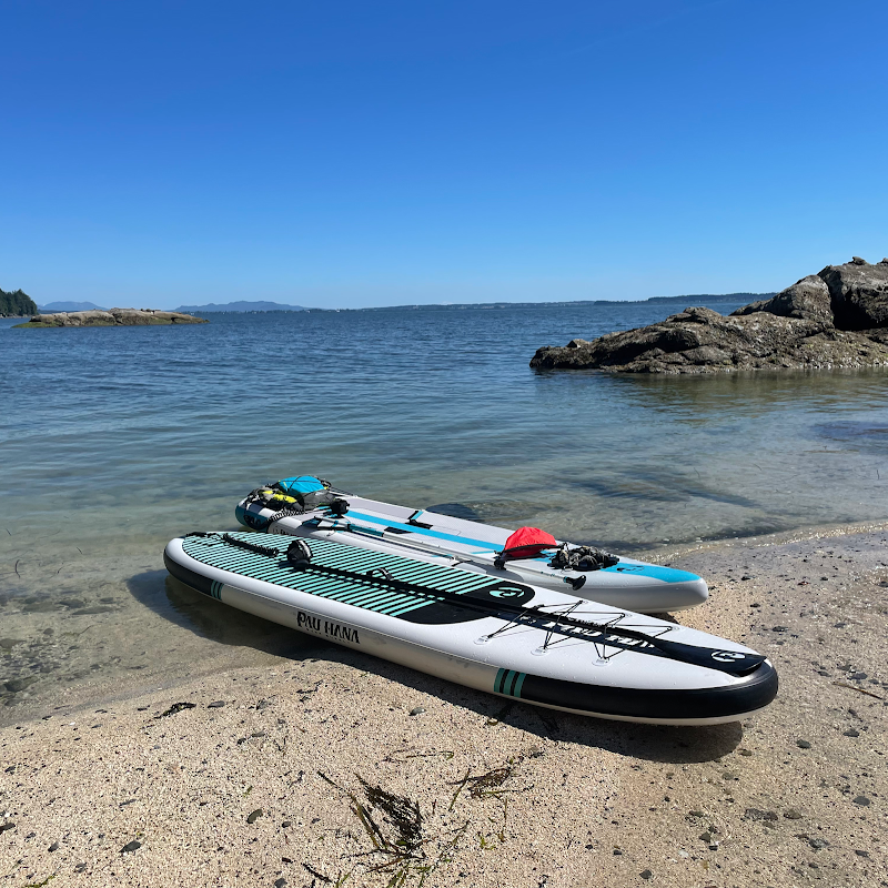 Bellingham Kayak Tours with Dragonfly Kayak Tours - Bellingham