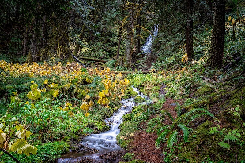 Waterfall Retreat at White Branch Falls, Blue River - White Branch Falls