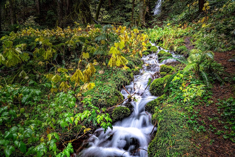 Waterfall Retreat at White Branch Falls, Blue River - White Branch Falls