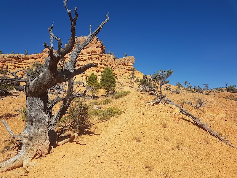Natural Rock Arch Adventure at Arches Trailhead, Panguitch, Utah - Arches Trailhead