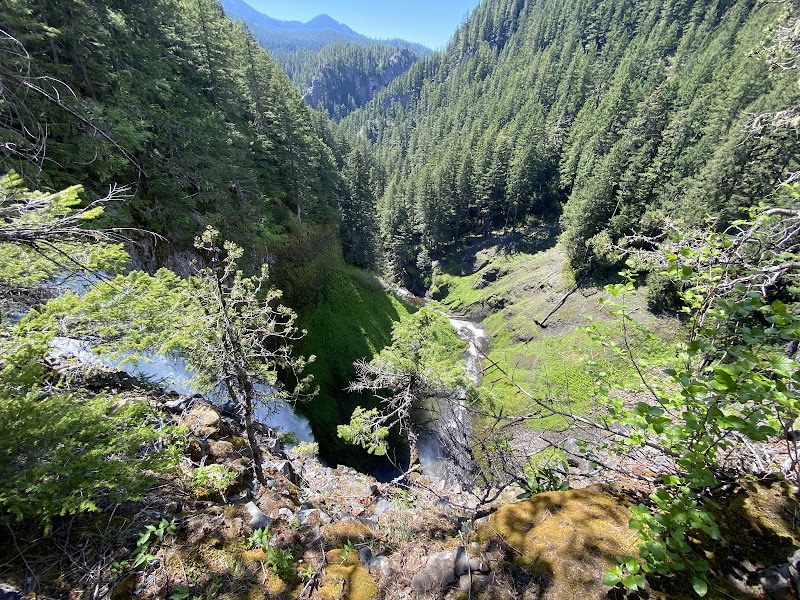 Waterfall Wonder: Salt Creek Falls, Oregon - Salt Creek Falls