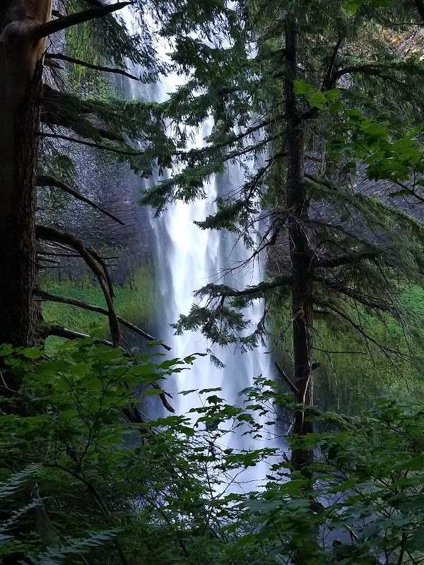 Waterfall Wonder: Salt Creek Falls, Oregon - Salt Creek Falls