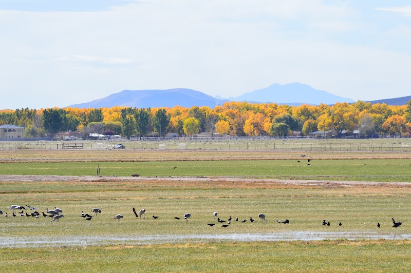 Wildlife Refuge & Nature Reserve in Albuquerque - Valle de Oro National Wildlife Refuge