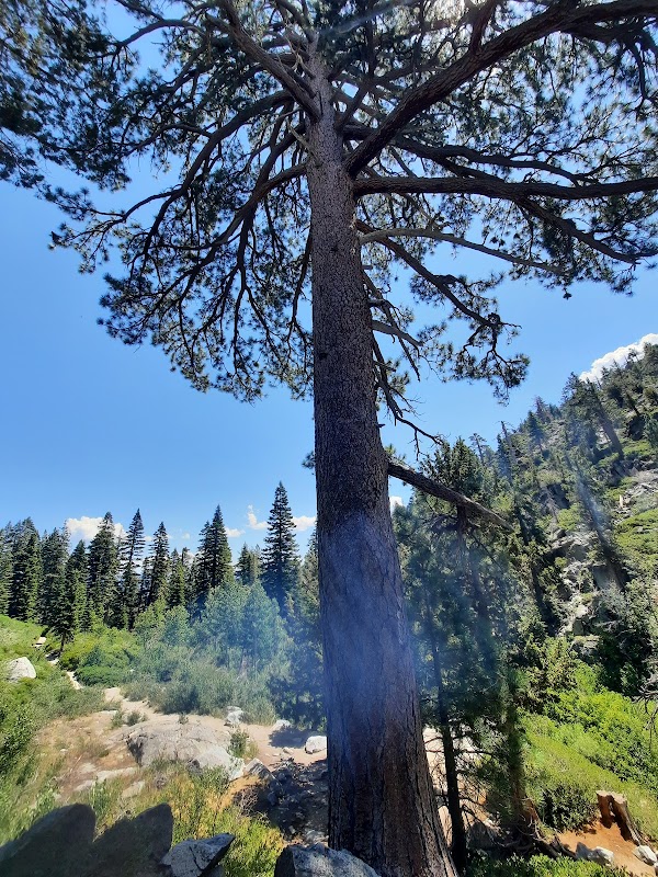 Scenic Hiking at Cascade Lake Trail near South Lake Tahoe - cascade lake trail