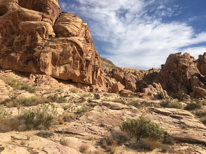 Rock Formations and Rugged Terrain at Buffington Pockets, Nevada outdoor detail
