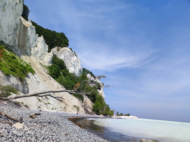 Dramatic Chalk Cliffs & Coastal Camping at Møns Klint - Camp Møns Klint