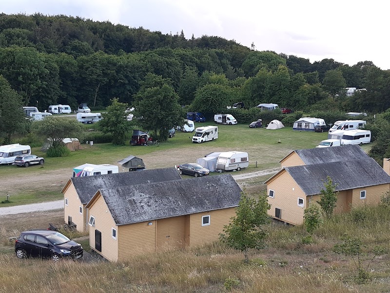 Dramatic Chalk Cliffs & Coastal Camping at Møns Klint - Camp Møns Klint