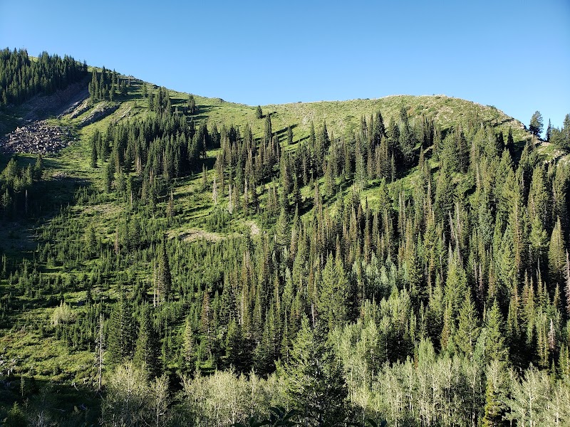 Mountain Lakeside Adventure at Lake Desolation - Lake Desolation