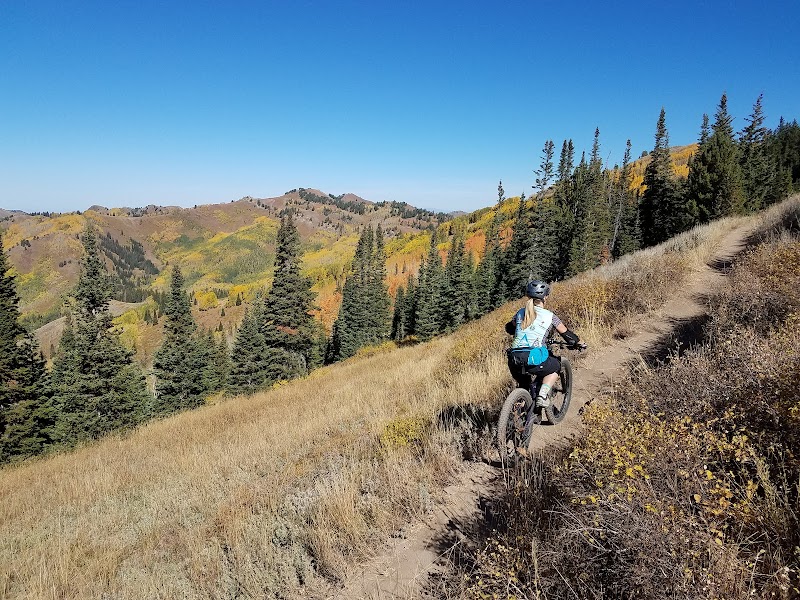 Mountain Biking Adventure on Wasatch Crest Trail, Salt Lake City - Wasatch Crest Trail