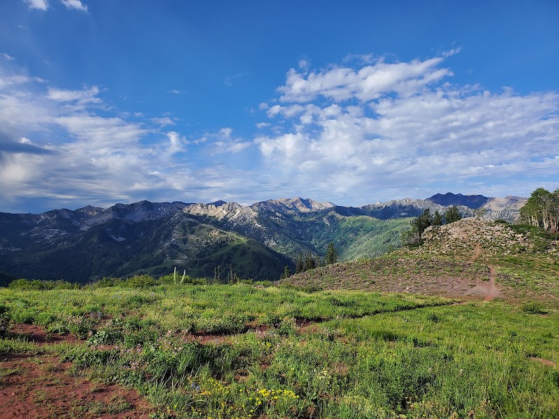 Mountain Biking Adventure on Wasatch Crest Trail, Salt Lake City - Wasatch Crest Trail