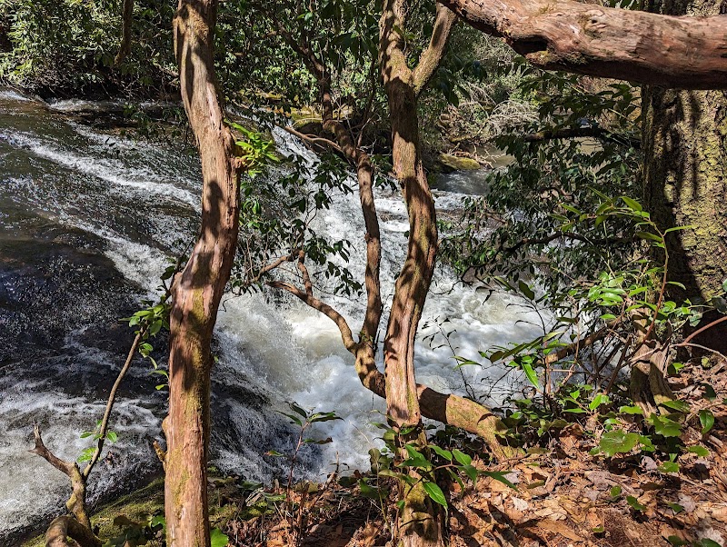 Scenic Waterfall Escape at East Fork Falls, Brevard, NC outdoor detail