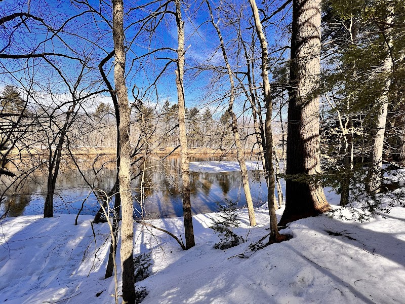 Winter Woodland Walks in Fryeburg Town Forest surrounding landscape